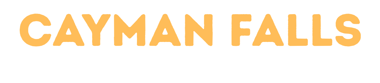 The Falls Shopping Center